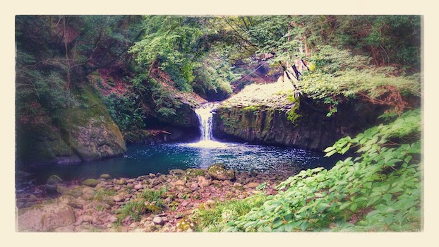 Kate's Editing Services